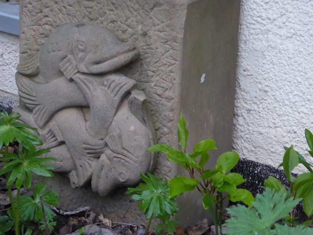 Ferienwohnung Max Kassel Bagian luar foto