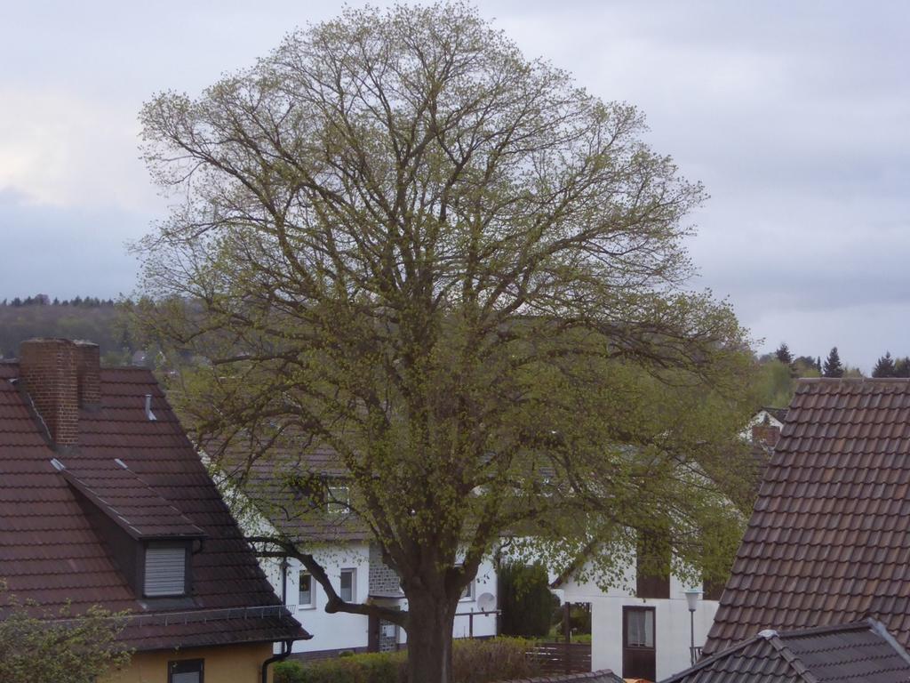 Ferienwohnung Max Kassel Bagian luar foto